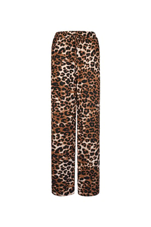 Wild Leopard Hose mit Streifen - braun h5 