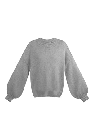 Winter-Essential-Pullover - grau h5 