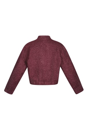 Boucle bomber jacket - Red h5 Picture10