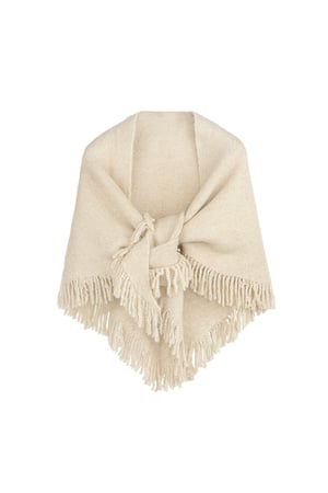 Everyday elegance scarf - beige h5 