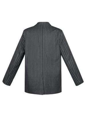 Pinstripe Blazer - Grey h5 Picture7