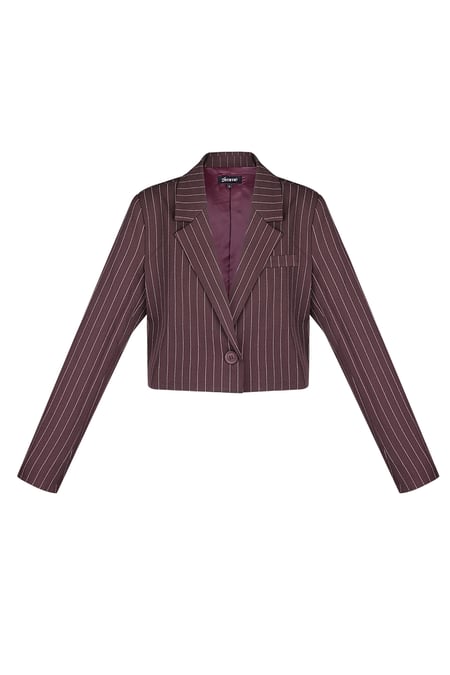 Pinstripe cropped blazer - Burgundy 2