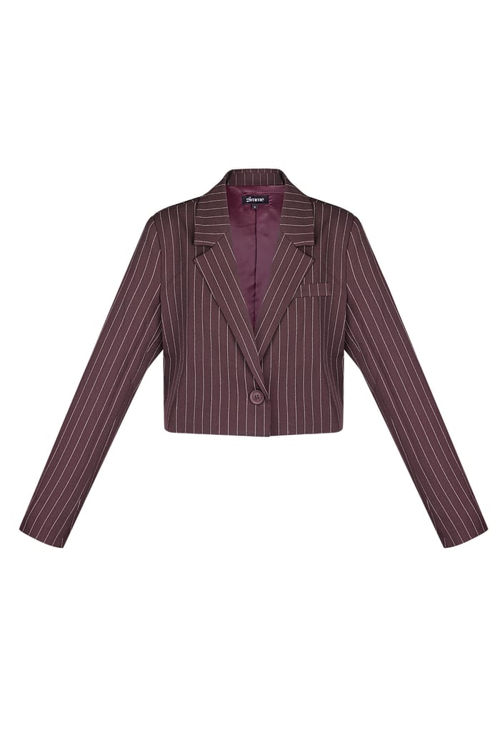 Pinstripe cropped blazer - Burgundy 