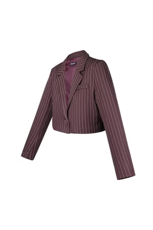 Pinstripe cropped blazer - Burgundy h5 Picture7