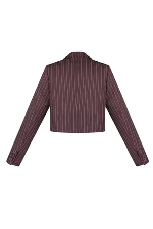 Pinstripe cropped blazer - Burgundy h5 Picture7