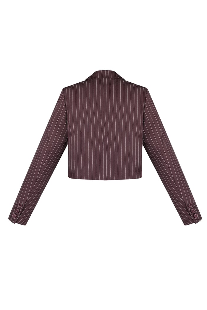 Pinstripe cropped blazer - Burgundy Picture7