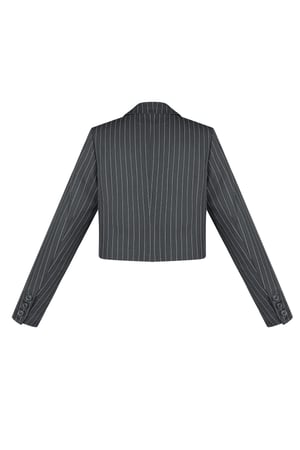 Pinstripe Cropped Blazer - Grey h5 Picture8