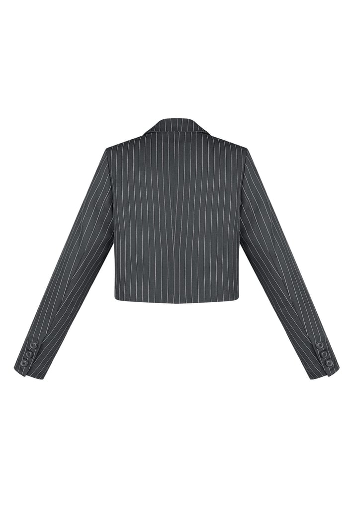 Pinstripe Cropped Blazer - Grey Picture8