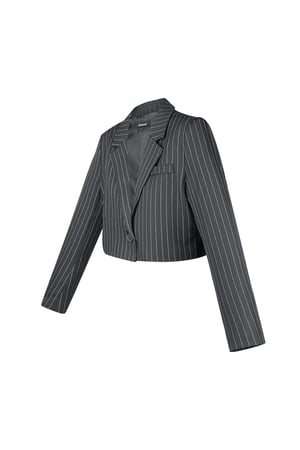 Pinstripe Cropped Blazer - Grey h5 Picture7