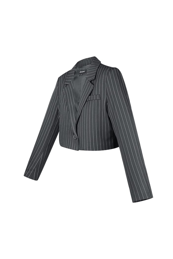 Pinstripe Cropped Blazer - Grey Picture7