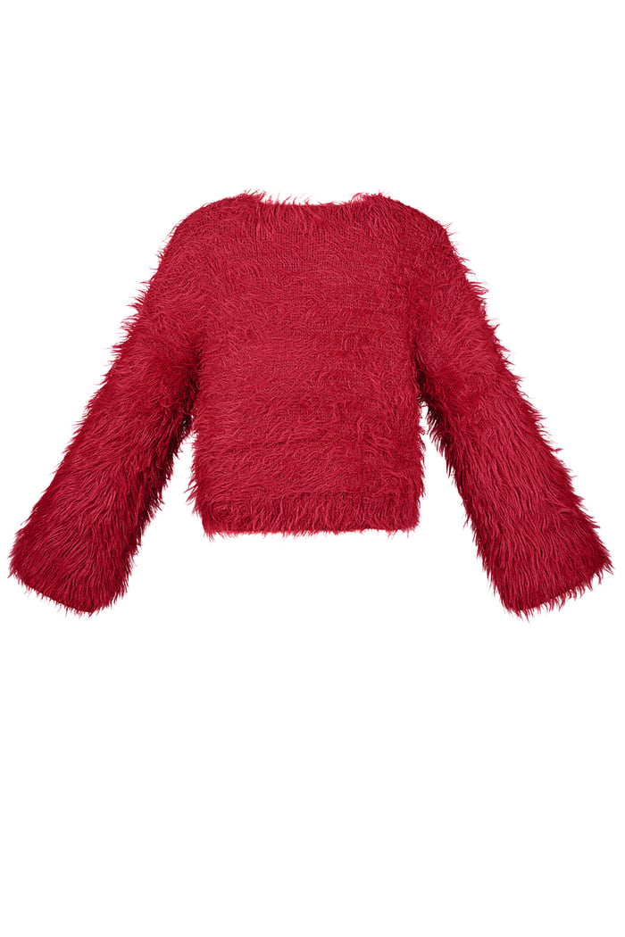 Fluffy finesse top - Red Picture9