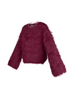 Fluffy finesse top - Burgundy h5 Picture7