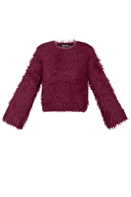 Fluffy finesse top - Burgundy 2