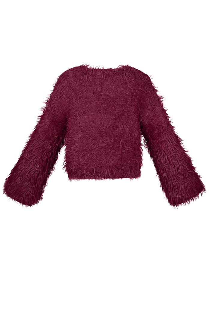 Fluffy finesse top - Burgundy Picture9