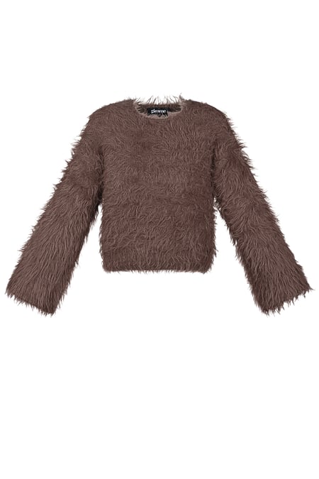 Fluffy finesse top - Brown 2