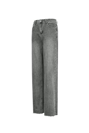 Jeans the icon fit - Grey h5 Picture7