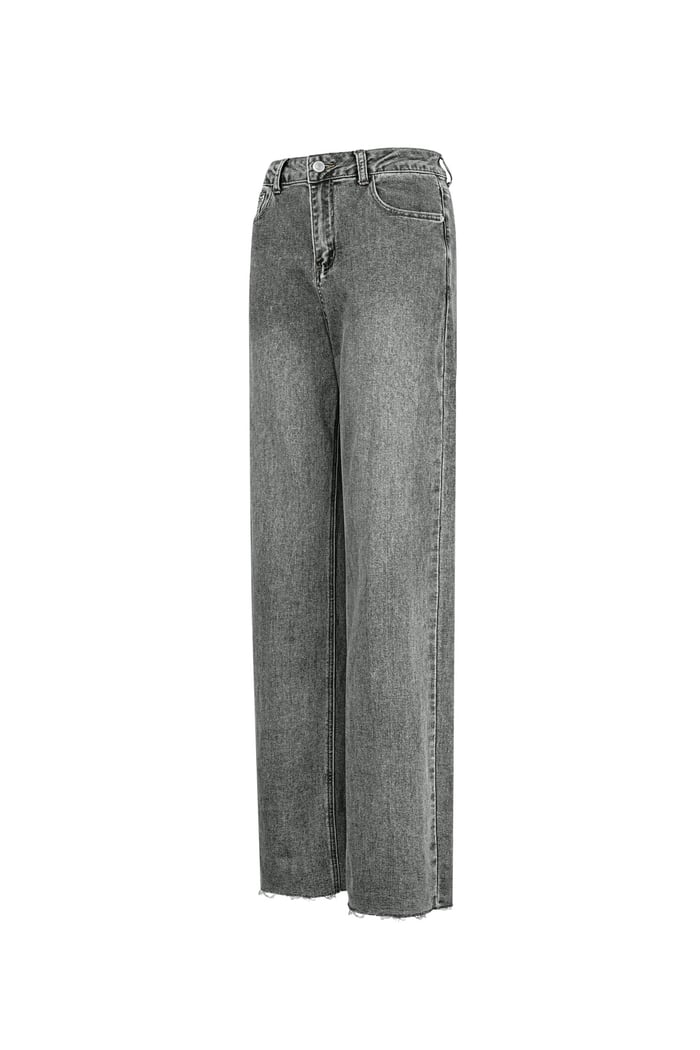 Jeans the icon fit - Grey Picture7