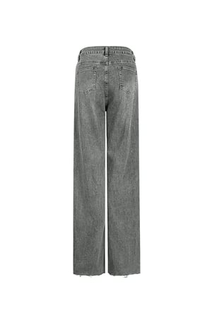 Jeans the icon fit - Grey h5 Picture8