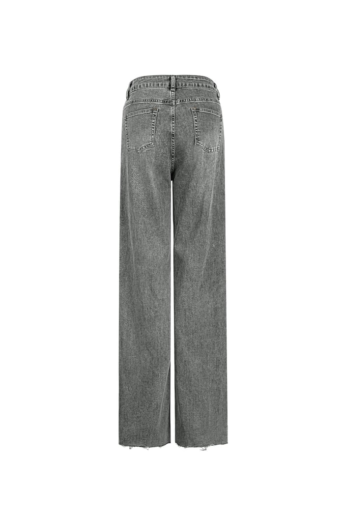 Jeans the icon fit - Grey Picture8