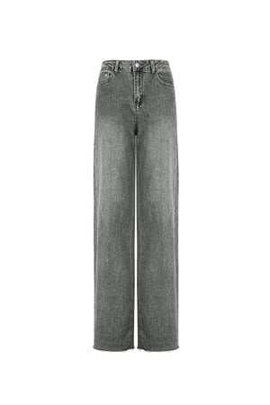 Jeans the icon fit - Grey h5 