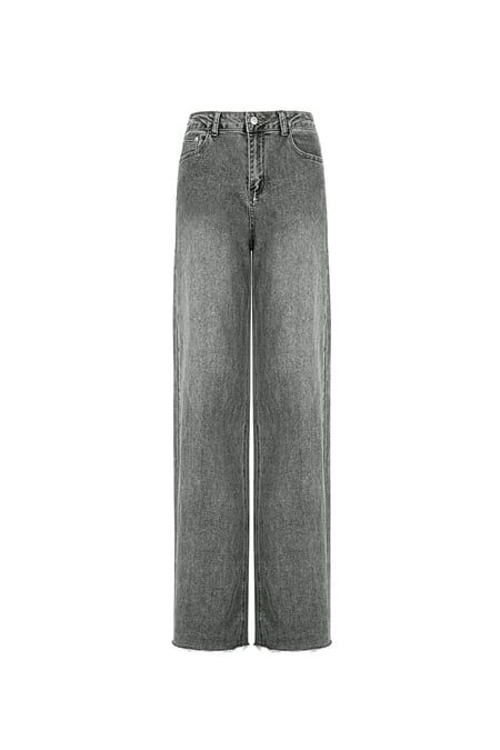 Jeans the icon fit - Grey