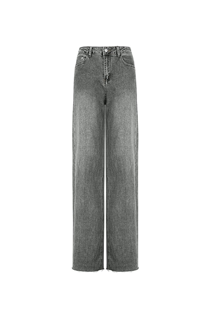 Jeans the icon fit - Grey 