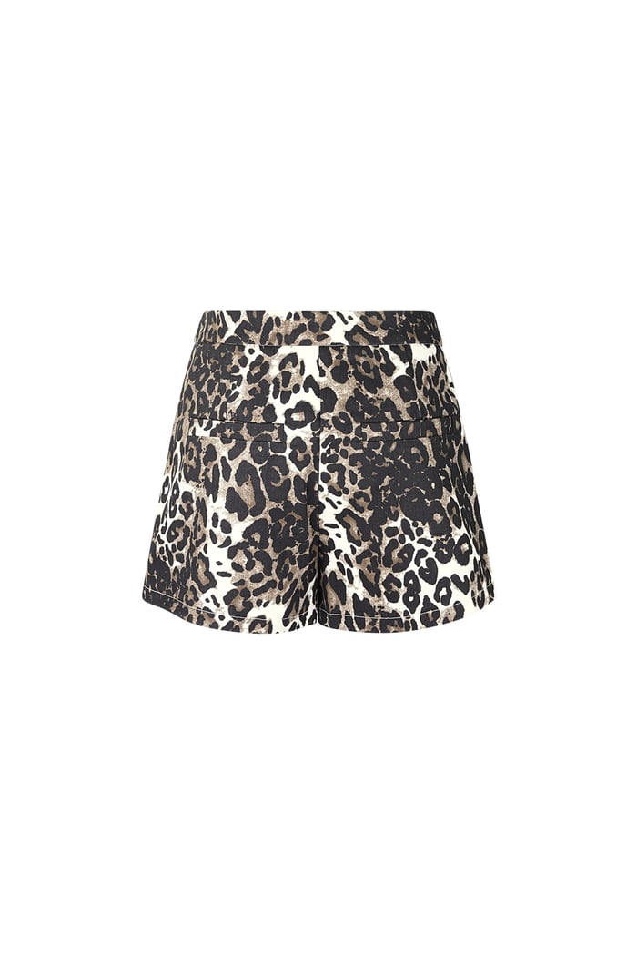 Pantaloncini stampa leopardo - Marrone Immagine6