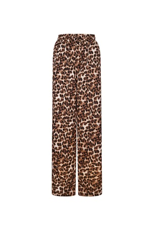 Leopard Print Pants - Brown h5 