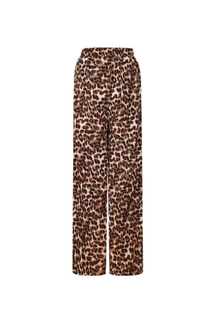 Leopard Print Pants - Brown h5 Picture5