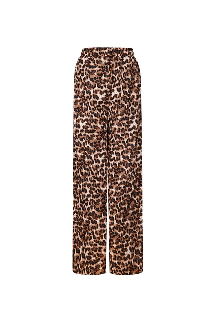 Leopard Print Pants - Brown Picture5