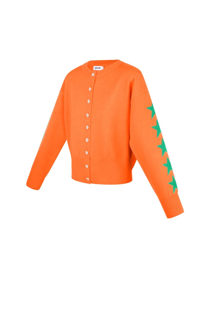 Starry vest - Orange Picture10