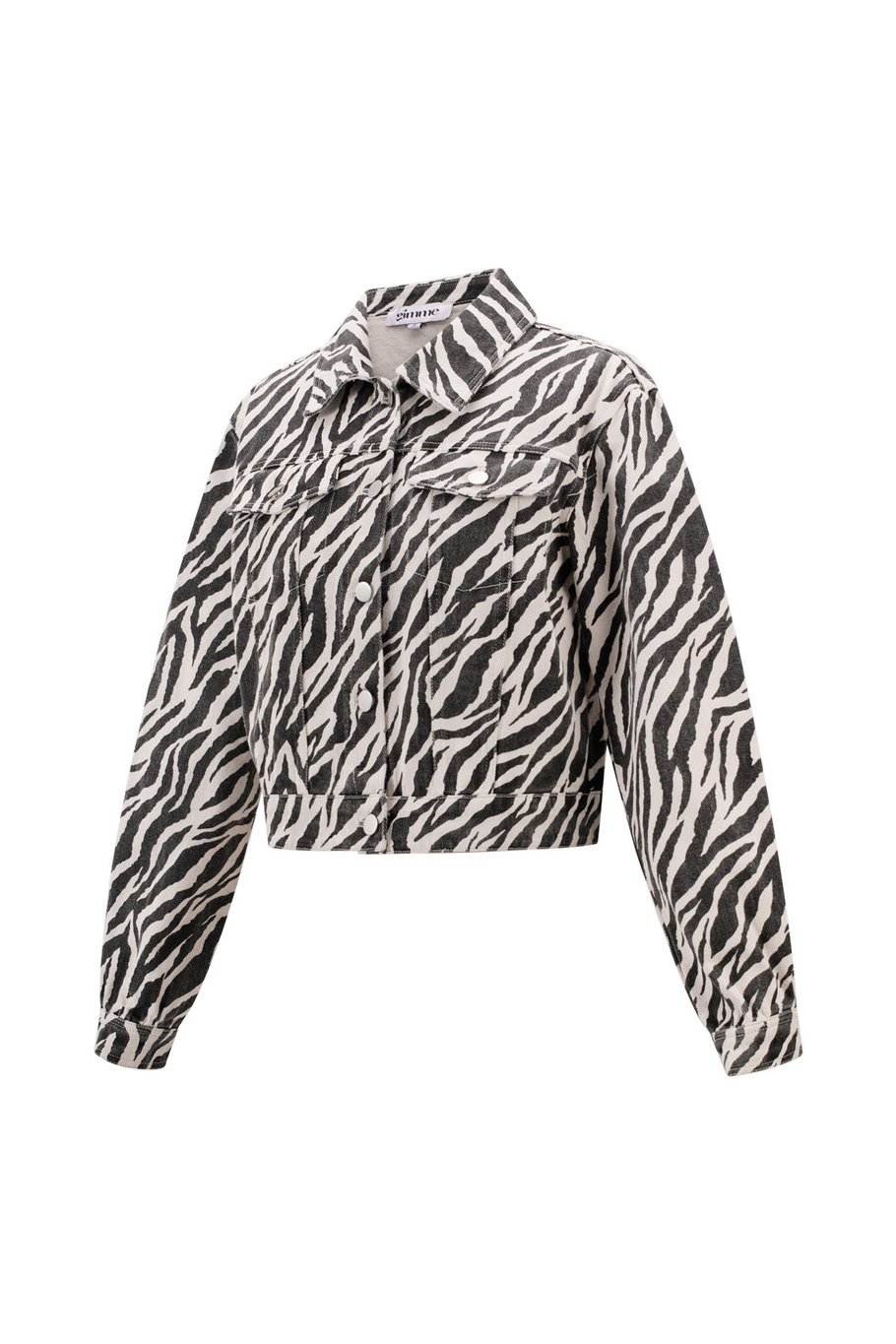 Het zebrajack Afbeelding6