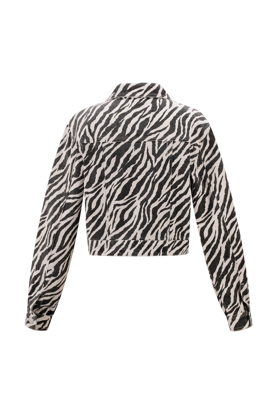 Het zebrajack Afbeelding7