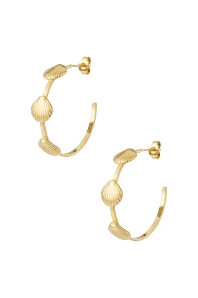 Boucles d&#39;oreilles créoles coquillage h5 