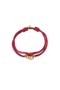 Watermelon red Immagine9