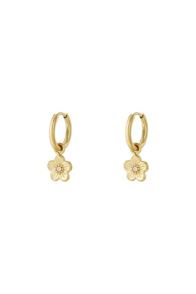 Flower fiesta earrings - Silver Color color h5 