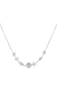 silver color Picture2