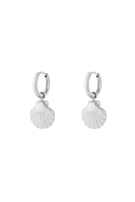 silver color Immagine2