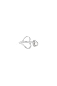 silver color Image2