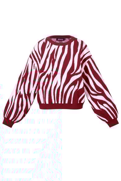 Pulls tricotés à rayures zébrées Vêtements décontractés automne/hiver h5 