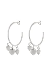 silver color Imagen2