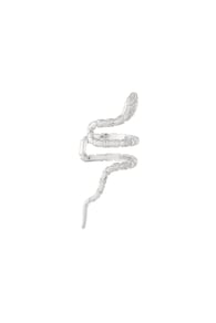silver color Immagine2