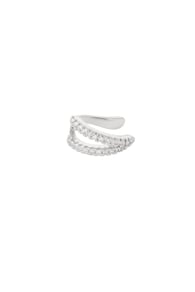 silver color Imagen2