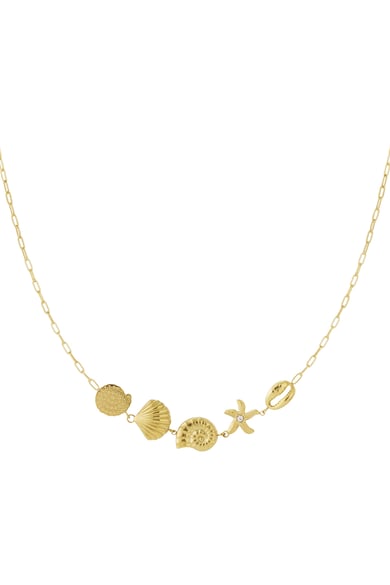 collier h5 