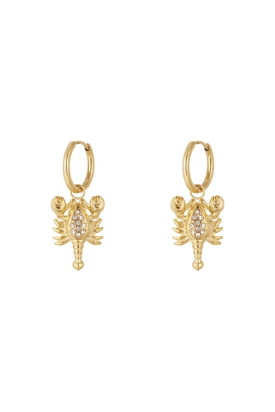 304S.steel Tropfen Ohrringe Tier Casual Täglichen Einfache Serie frauen schmuck h5 