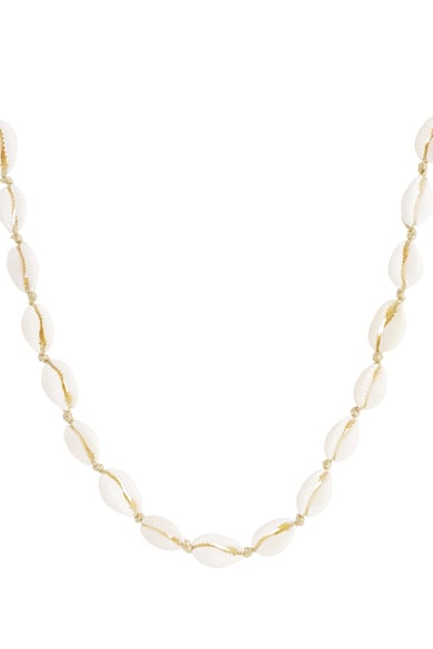 Necklace shell h5 