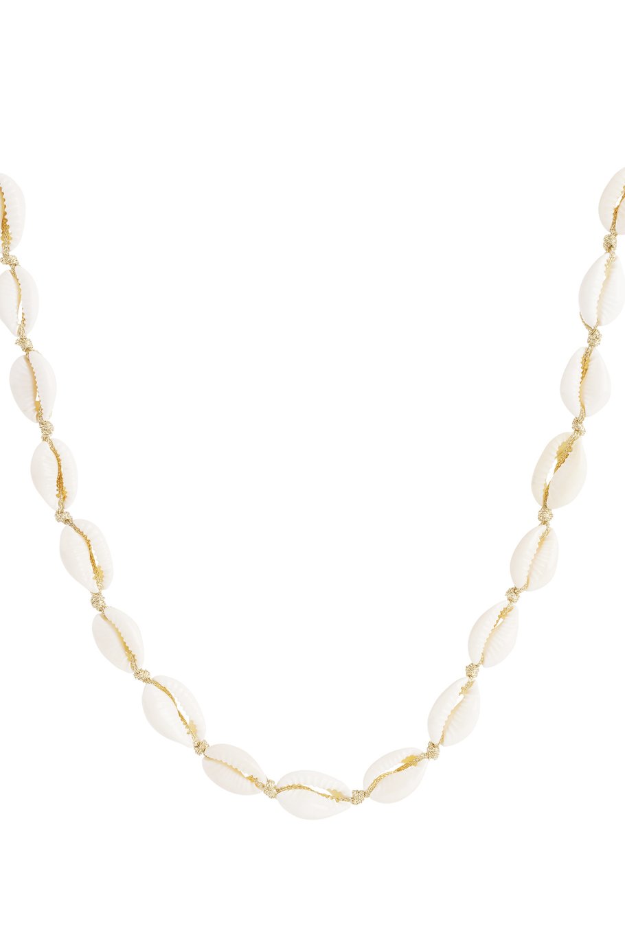 Necklace shell 