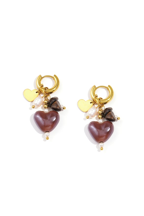 Stainless Steel Drop Earrings Heart Casual Daily Simple Series Women's jewelry