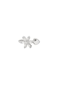 silver color Image2