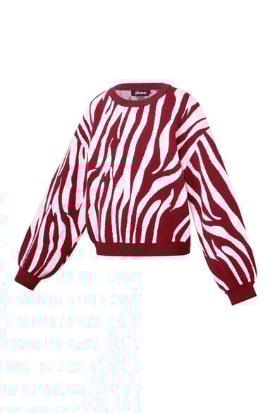 Pulls tricotés à rayures zébrées Vêtements décontractés automne/hiver h5 Image2
